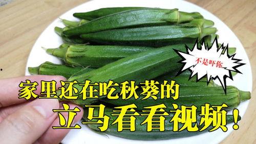 秋葵视频i,探索健康生活的绿色秘籍
