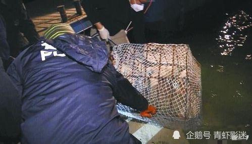 铁笼沉尸案视频,惊悚视频揭露的惊人真相