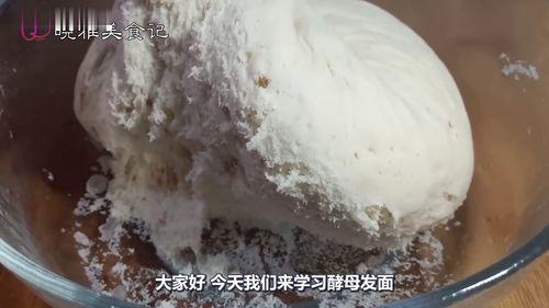 发面技巧视频,轻松掌握发面技巧