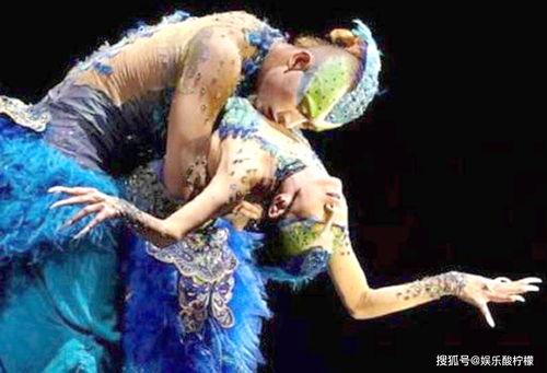 孔雀舞蹈视频大全独舞,独舞风采赏析