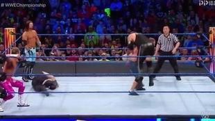 摔跤狂热33视频