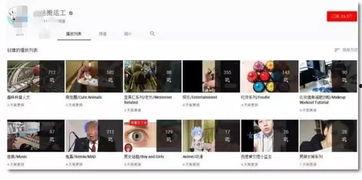 美国另类视频youtube,独特视角与文化碰撞