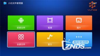 局域网视频共享,打造高效便捷的内部资源共享平台