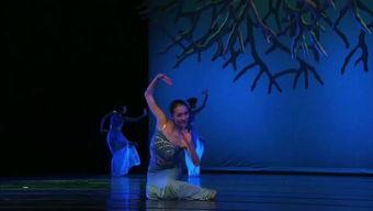 云南傣族舞蹈视频,云南民族文化的璀璨明珠